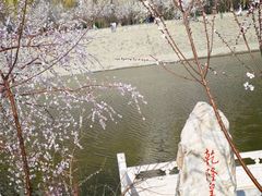 -桃花堤公园