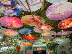 -海韵人家.海景花园经典云南菜(双廊店)