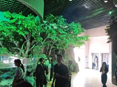 -福州罗源湾海洋世界旅游区