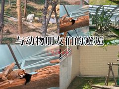 -石家庄市动物园