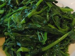 清炒豆苗-峨嵋酒家(地安门店)