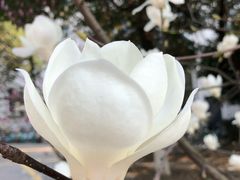-江南大学(蠡湖校区)