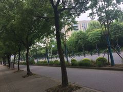 -上海中医药大学附属曙光医院(东部)