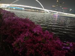 -珠江夜游广州塔·中大码头