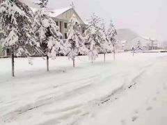 -Green valley绿谷酒吧