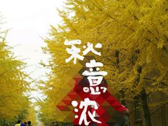 -辽宁大学(崇山校区)