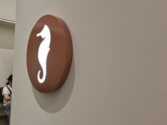 -海马体大师店(广州天汇广场IGC大师店)