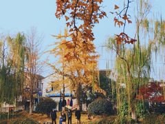 -拙政园