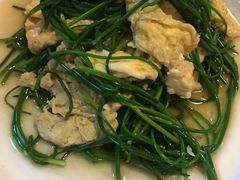 -敦煌达记酱驴肉黄面馆