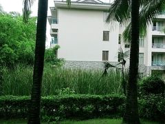-三亚亚龙湾雅高美爵酒店