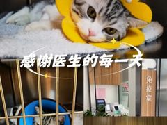 -御宝贝·A梦猫科宠物医院(国际猫友好医院)