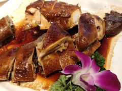-虾饺妹·酒家(金碧店)
