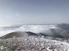 -秦岭风景区