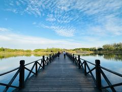 -溱湖国家湿地公园