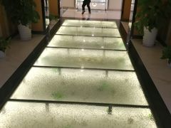 -苏州大学理想眼科医院