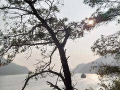 -羚羊峡古栈道森林公园