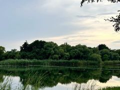-渤公岛生态公园