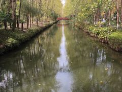 -合肥滨湖国家森林公园