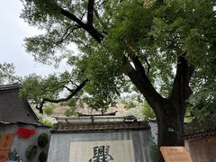-龙门涧景区
