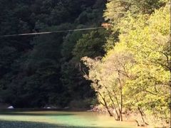-朝阳沟