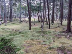 -西芳寺(苔寺)