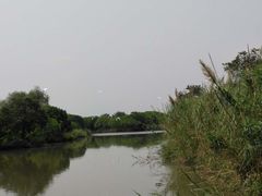 -大湾区中央湿地公园