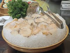 海螺片-中苑海韵