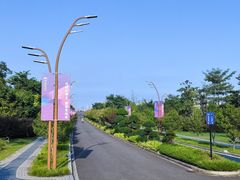-三垟湿地
