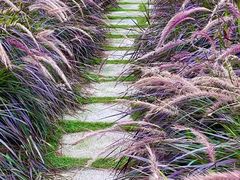 -中国杭州低碳科技馆