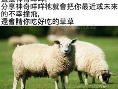 -肆幺幺烤肉(乐汇城店)