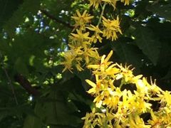 iphone_upload_pic-北京颐和宾馆