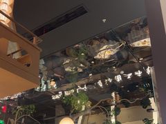 -桂满陇·海市蜃楼·黑金(国金店)