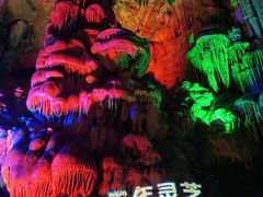 -金狮洞国家地质公园