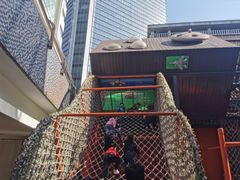-中国福利会少年宫