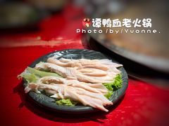 -谭鸭血老火锅(漳州路店)
