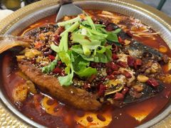 -肥家大排档(天河体育西店)