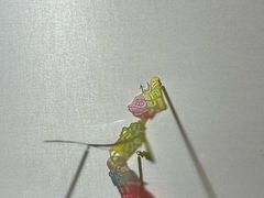 -陕西科学技术馆