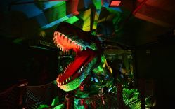 -恐龙探索乐园(磁器口店)