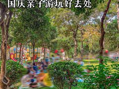 -阳台山森林公园