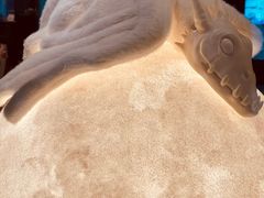 -drivepro(三里屯店)