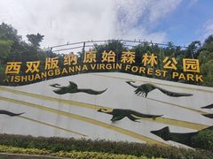 -西双版纳原始森林公园
