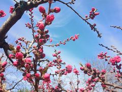 -元大都城垣遗址公园