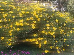 -沪东工人文化宫