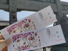 -洛阳白马寺