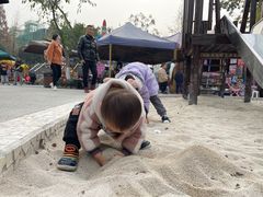 -成飞公园