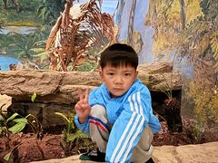 -自贡恐龙博物馆