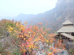 -周口店坡峰岭风景区