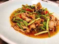 生爆仔姜肥肠-雀蓝川菜(奥体广场店)