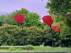 -西山漾湿地公园