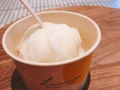 柠檬雪葩-Luneurs(幸福里店)